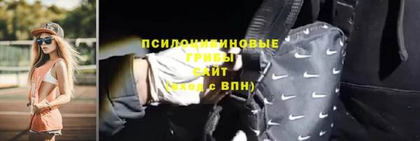 хмурый Алексеевка