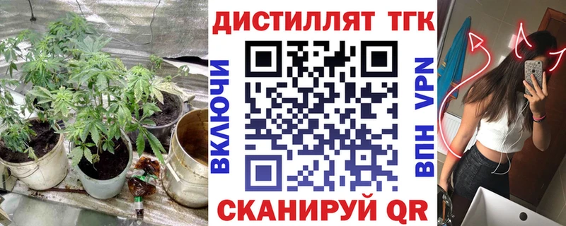 ТГК концентрат Суджа