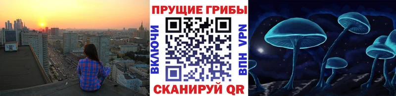 Псилоцибиновые грибы ЛСД  Суджа 
