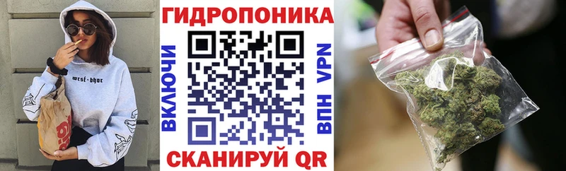 Бошки Шишки семена  Суджа 